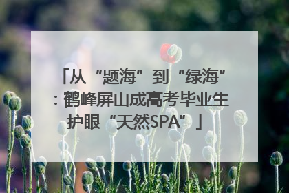 从“题海”到“绿海”：鹤峰屏山成高考毕业生护眼“天然SPA”