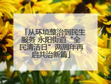从环境整治到民生服务 永阳街道“全民清洁日”两周年再启共治新篇