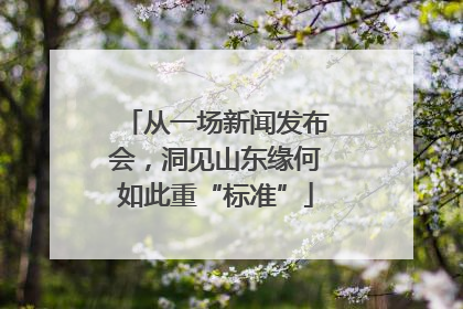 从一场新闻发布会，洞见山东缘何如此重“标准”