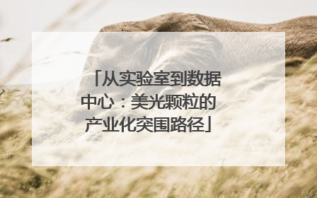 从实验室到数据中心：美光颗粒的产业化突围路径