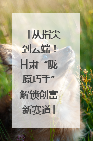 从指尖到云端！甘肃“陇原巧手”解锁创富新赛道