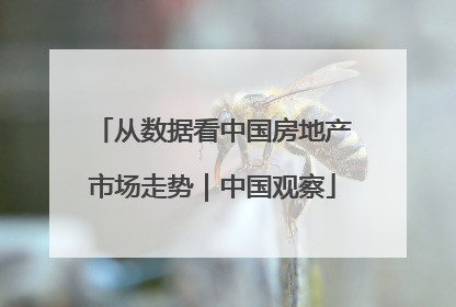 从数据看中国房地产市场走势｜中国观察