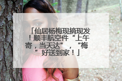 仙居杨梅现摘现发！顺丰航空件“上午寄，当天达”，“梅”好送到家！