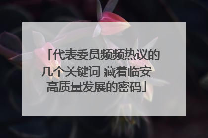 代表委员频频热议的几个关键词 藏着临安高质量发展的密码