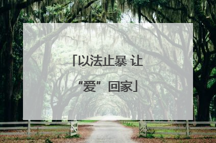 以法止暴 让“爱”回家