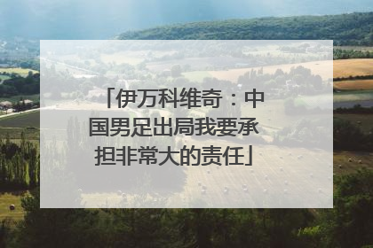 伊万科维奇：中国男足出局我要承担非常大的责任