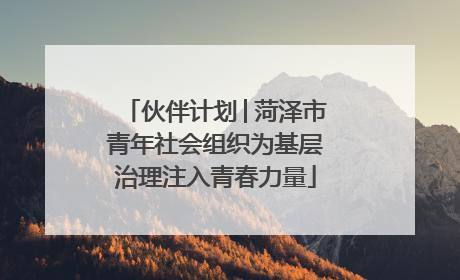 伙伴计划│菏泽市青年社会组织为基层治理注入青春力量