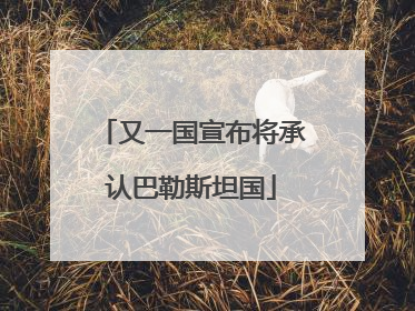 又一国宣布将承认巴勒斯坦国