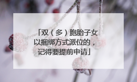 双（多）胞胎子女以捆绑方式派位的，记得要提前申请