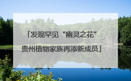 发现罕见“幽灵之花” 贵州植物家族再添新成员
