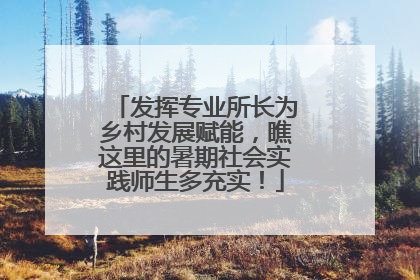 发挥专业所长为乡村发展赋能，瞧这里的暑期社会实践师生多充实！