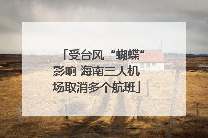 受台风“蝴蝶”影响 海南三大机场取消多个航班