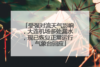 受强对流天气影响，大连机场多处漏水，现已恢复正常运行，气象台回应