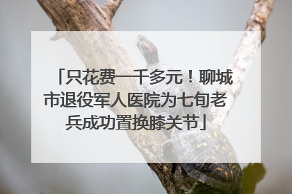 只花费一千多元！聊城市退役军人医院为七旬老兵成功置换膝关节