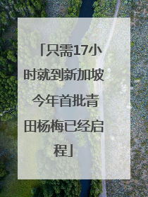 只需17小时就到新加坡 今年首批青田杨梅已经启程