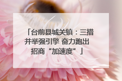 台前县城关镇：三措并举强引擎 奋力跑出招商“加速度”
