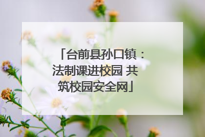 台前县孙口镇：法制课进校园 共筑校园安全网