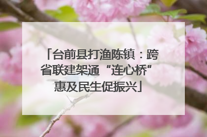 台前县打渔陈镇：跨省联建架通“连心桥” 惠及民生促振兴