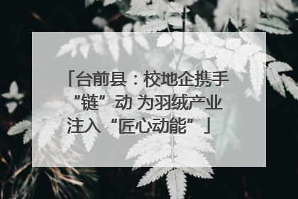 台前县：校地企携手“链”动 为羽绒产业注入“匠心动能”
