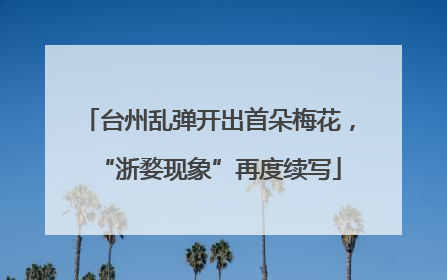台州乱弹开出首朵梅花，“浙婺现象”再度续写