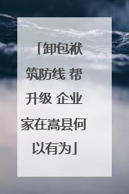 卸包袱 筑防线 帮升级 企业家在嵩县何以有为