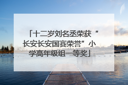 十二岁刘名丞荣获“长安长安国赛荣誉”小学高年级组一等奖