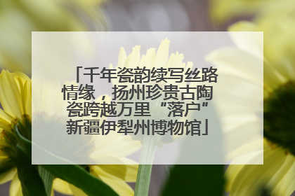 千年瓷韵续写丝路情缘，扬州珍贵古陶瓷跨越万里“落户”新疆伊犁州博物馆