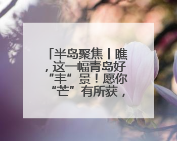 半岛聚焦丨瞧，这一幅青岛好“丰”景！愿你“芒”有所获，“种”有所得