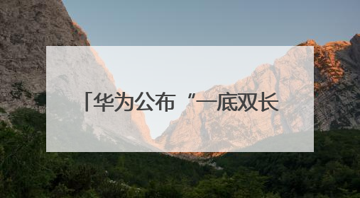 华为公布“一底双长焦”专利，将首发于Pura 80系列