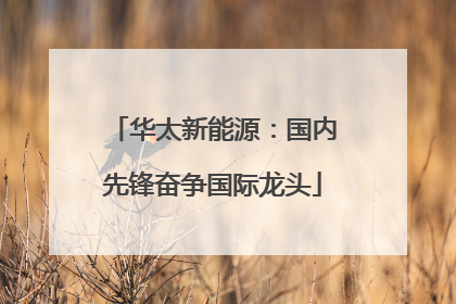 华太新能源：国内先锋奋争国际龙头