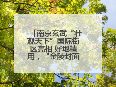 南京玄武“壮观天下”国际街区亮相 好地精用，“金陵封面”焕新通四海