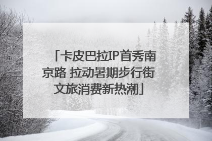 卡皮巴拉IP首秀南京路 拉动暑期步行街文旅消费新热潮