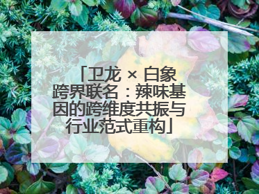 卫龙 × 白象跨界联名：辣味基因的跨维度共振与行业范式重构