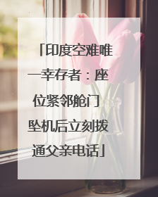 印度空难唯一幸存者：座位紧邻舱门 坠机后立刻拨通父亲电话