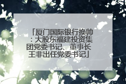 厦门国际银行换帅：大股东福建投资集团党委书记、董事长王非出任党委书记