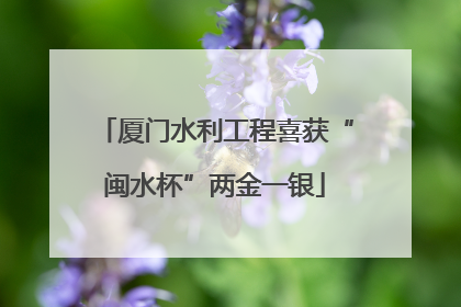 厦门水利工程喜获“闽水杯”两金一银
