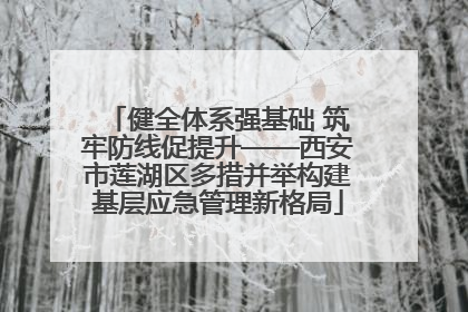 健全体系强基础 筑牢防线促提升——西安市莲湖区多措并举构建基层应急管理新格局