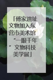 傅家遗址文物加入东营市美术馆“一眼千年”文物科技美学展
