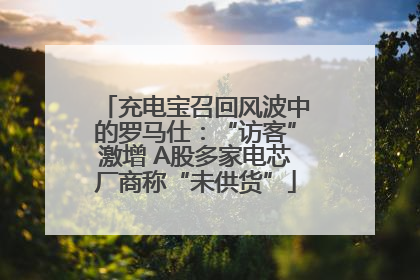 充电宝召回风波中的罗马仕：“访客”激增 A股多家电芯厂商称“未供货”