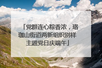 党群连心粽香浓，珞珈山街道两新组织别样主题党日庆端午
