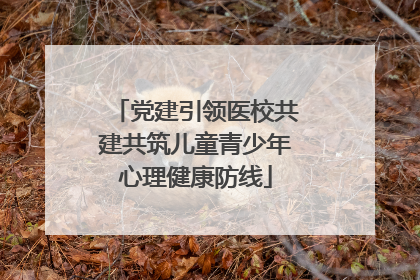 党建引领医校共建共筑儿童青少年心理健康防线