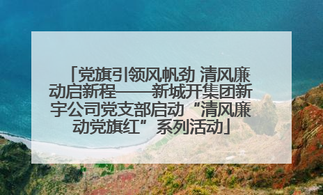党旗引领风帆劲 清风廉动启新程——新城开集团新宇公司党支部启动“清风廉动党旗红”系列活动