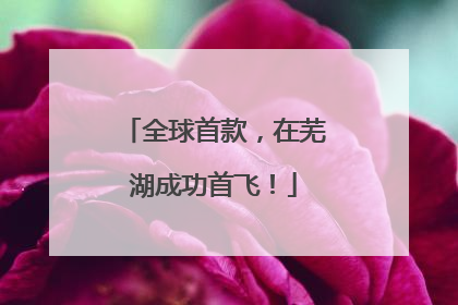 全球首款，在芜湖成功首飞！