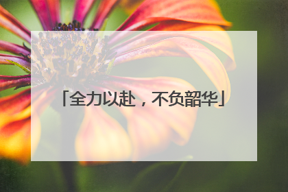 全力以赴，不负韶华
