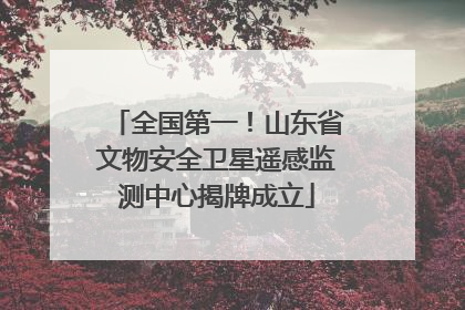 全国第一！山东省文物安全卫星遥感监测中心揭牌成立
