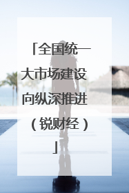 全国统一大市场建设向纵深推进（锐财经）