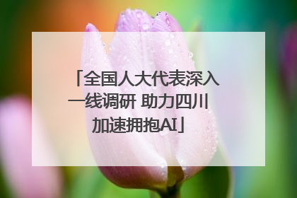 全国人大代表深入一线调研 助力四川加速拥抱AI