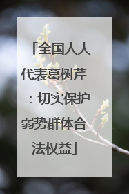 全国人大代表葛树芹：切实保护弱势群体合法权益