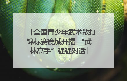 全国青少年武术散打锦标赛鹿城开擂 “武林高手”强强对话
