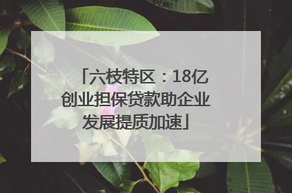 六枝特区：18亿创业担保贷款助企业发展提质加速